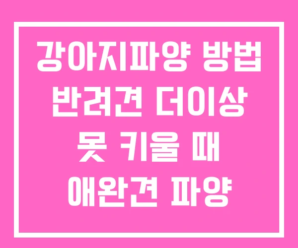 강아지파양 방법 반려견 더이상 못 키울 때 애완견 파양