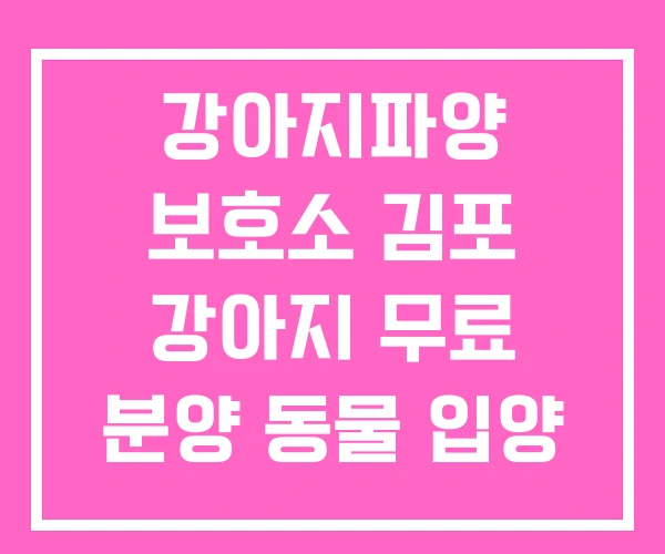 강아지파양 보호소 김포 강아지 무료 분양 동물 입양