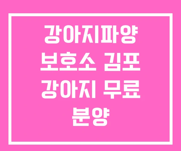 강아지파양 보호소 김포 강아지 무료 분양 강아지파양 보호소 김포 강아지 무료 분양