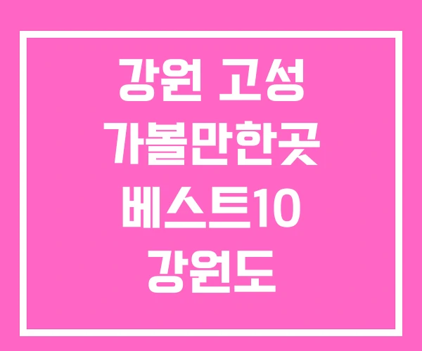 강원 고성 가볼만한곳 베스트10 강원도