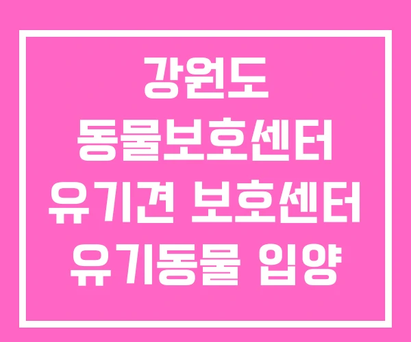 강원도 동물보호센터 유기견 보호센터 유기동물 입양