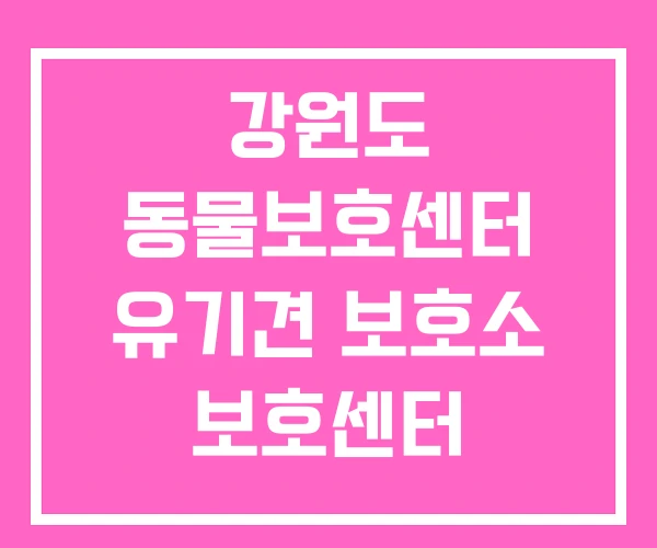 강원도 동물보호센터 유기견 보호소 보호센터