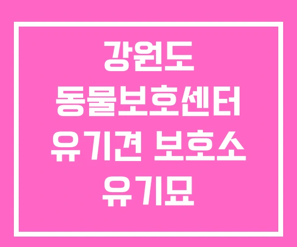 강원도 동물보호센터 유기견 보호소 유기묘