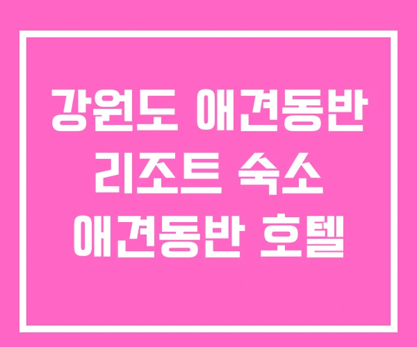 강원도 애견동반 리조트 숙소 애견동반 호텔 강원도 애견동반 리조트 숙소 애견동반 호텔