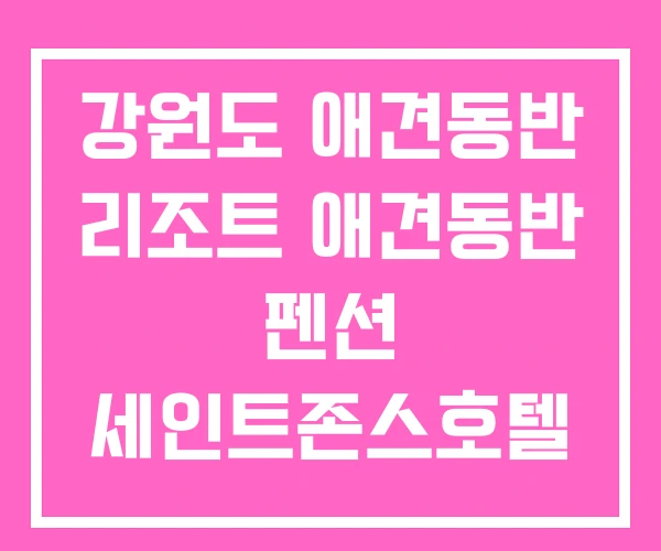 강원도 애견동반 리조트 애견동반 펜션 세인트존스호텔 강원도 애견동반 리조트 애견동반 펜션 세인트존스호텔
