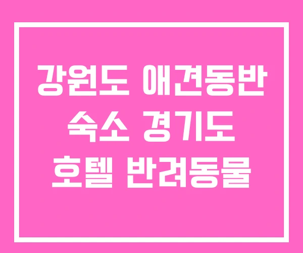 강원도 애견동반 숙소 경기도 호텔 반려동물
