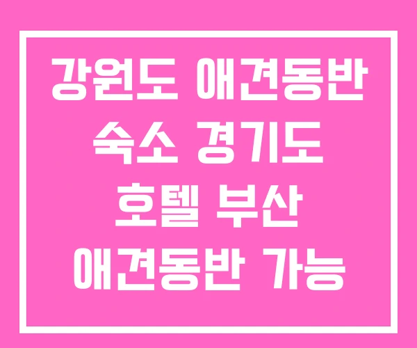 강원도 애견동반 숙소 경기도 호텔 부산 애견동반 가능