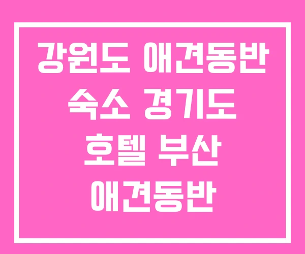강원도 애견동반 숙소 경기도 호텔 부산 애견동반