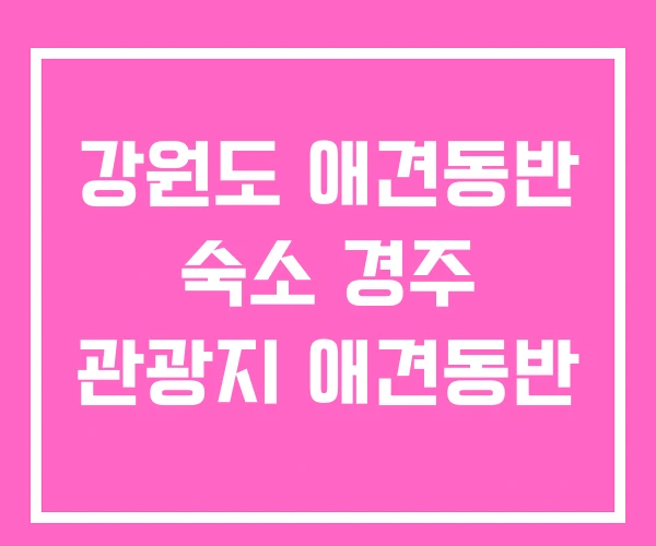 강원도 애견동반 숙소 경주 관광지 애견동반