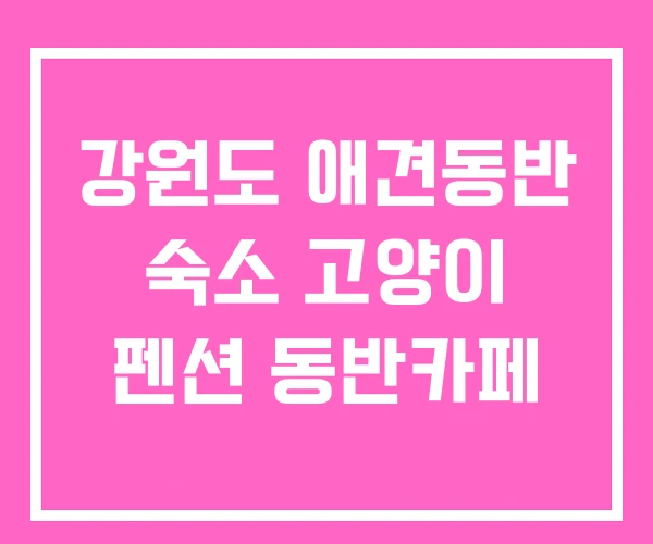 강원도 애견동반 숙소 고양이 펜션 동반카페 강원도 애견동반 숙소 고양이 펜션 동반카페