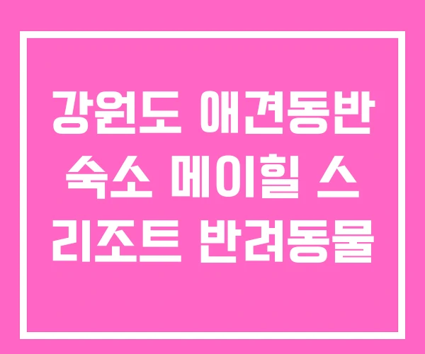 강원도 애견동반 숙소 메이힐 스 리조트 반려동물 강원도 애견동반 숙소 메이힐 스 리조트 반려동물