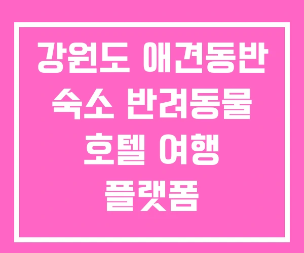 강원도 애견동반 숙소 반려동물 호텔 여행 플랫폼 강원도 애견동반 숙소 반려동물 호텔 여행 플랫폼