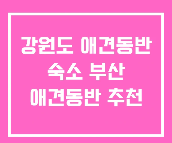 강원도 애견동반 숙소 부산 애견동반 추천