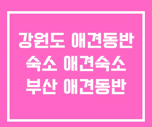 강원도 애견동반 숙소 애견숙소 부산 애견동반