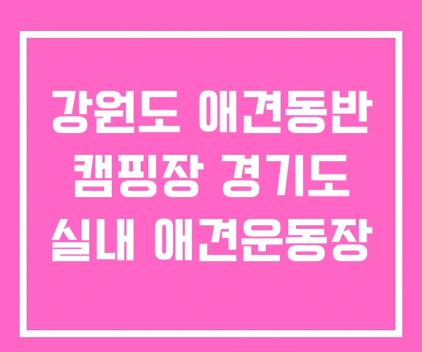 강원도 애견동반 캠핑장 경기도 실내 애견운동장 강원도 애견동반 캠핑장 경기도 실내 애견운동장