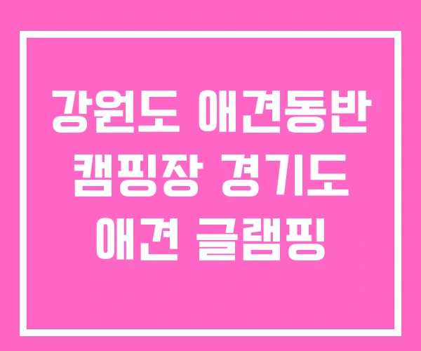 강원도 애견동반 캠핑장 경기도 애견 글램핑