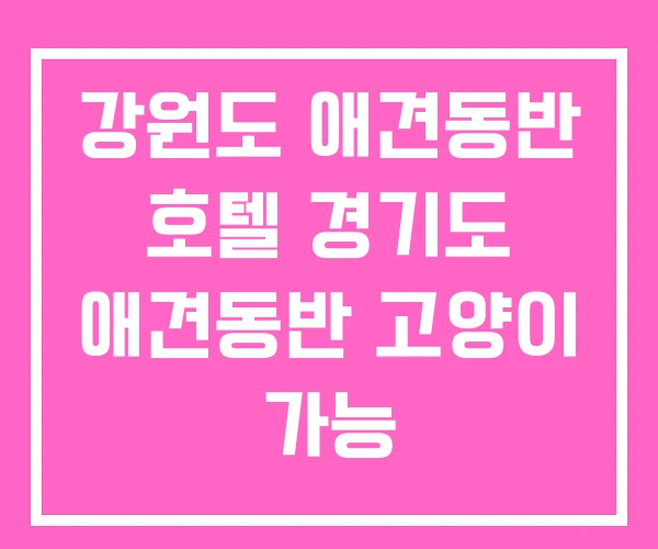 강원도 애견동반 호텔 경기도 애견동반 고양이 가능
