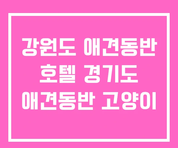 강원도 애견동반 호텔 경기도 애견동반 고양이 강원도 애견동반 호텔 경기도 애견동반 고양이