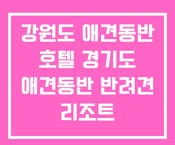 강원도 애견동반 호텔 경기도 애견동반 반려견 리조트 강원도 애견동반 호텔 경기도 애견동반 반려견 리조트