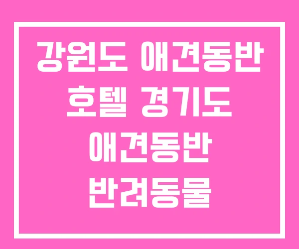 강원도 애견동반 호텔 경기도 애견동반 반려동물