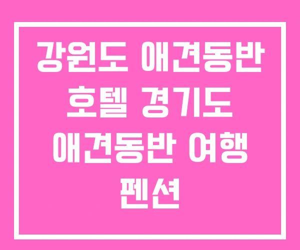 강원도 애견동반 호텔 경기도 애견동반 여행 펜션
