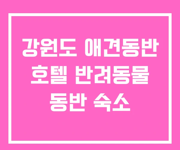 강원도 애견동반 호텔 반려동물 동반 숙소