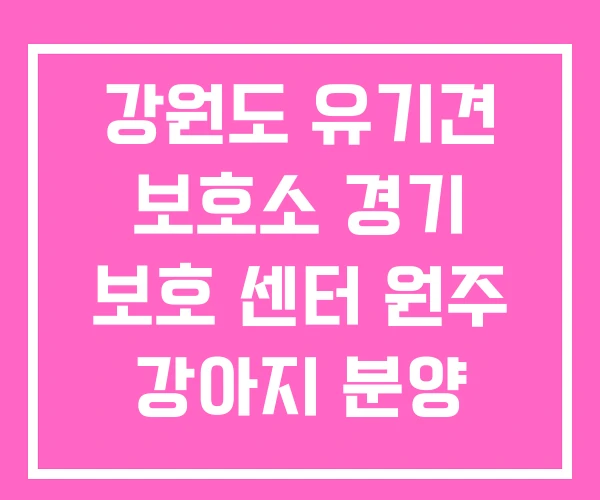 강원도 유기견 보호소 경기 보호 센터 원주 강아지 분양