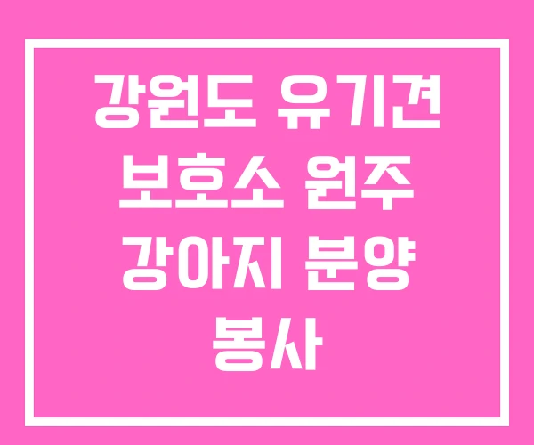 강원도 유기견 보호소 원주 강아지 분양 봉사 강원도 유기견 보호소 원주 강아지 분양 봉사