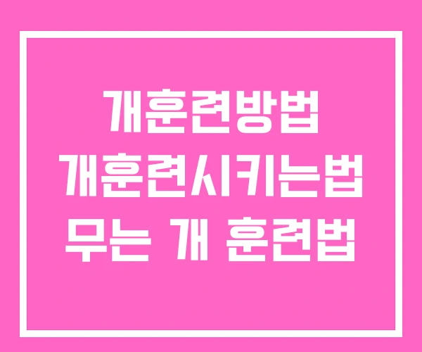개훈련방법 개훈련시키는법 무는 개 훈련법 개훈련방법 개훈련시키는법 무는 개 훈련법