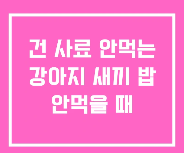 건 사료 안먹는 강아지 새끼 밥 안먹을 때