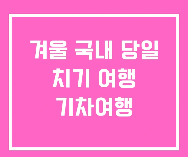 겨울 국내 당일 치기 여행 기차여행