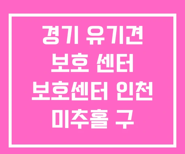 경기 유기견 보호 센터 보호센터 인천 미추홀 구 보호소 경기 유기견 보호 센터 보호센터 인천 미추홀 구 보호소