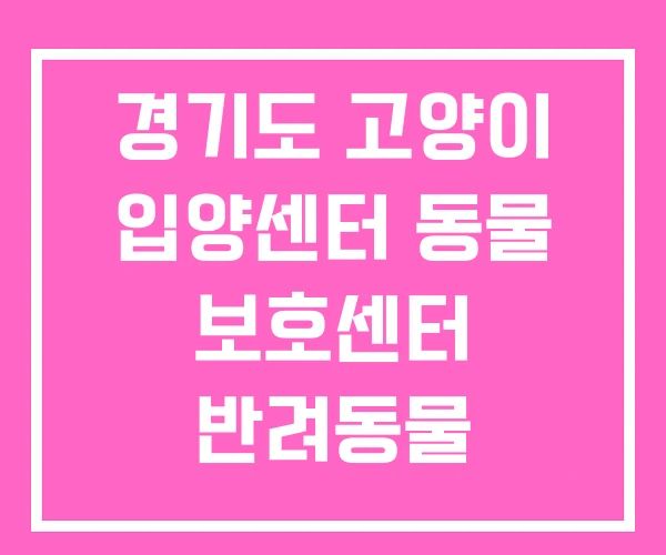 경기도 고양이 입양센터 동물 보호센터 반려동물