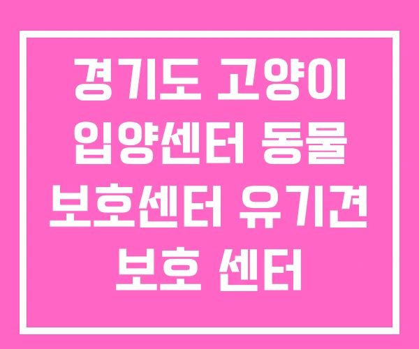 경기도 고양이 입양센터 동물 보호센터 유기견 보호 센터