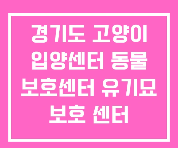 경기도 고양이 입양센터 동물 보호센터 유기묘 보호 센터 경기도 고양이 입양센터 동물 보호센터 유기묘 보호 센터