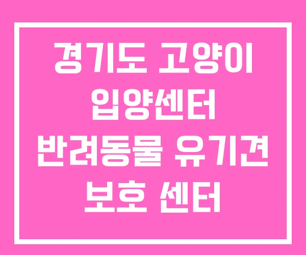 경기도 고양이 입양센터 반려동물 유기견 보호 센터