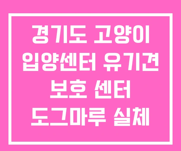 경기도 고양이 입양센터 유기견 보호 센터 도그마루 실체