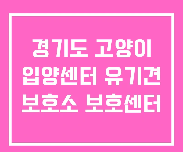 경기도 고양이 입양센터 유기견 보호소 보호센터 경기도 고양이 입양센터 유기견 보호소 보호센터