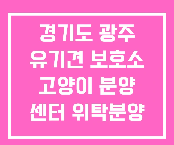 경기도 광주 유기견 보호소 고양이 분양 센터 위탁분양