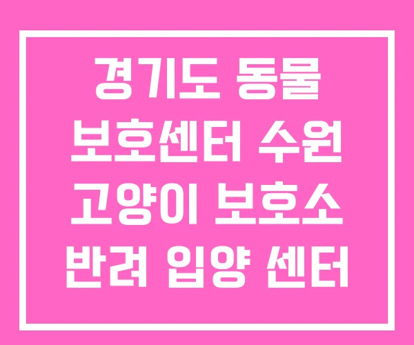 경기도 동물 보호센터 수원 고양이 보호소 반려 입양 센터