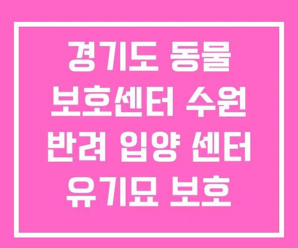 경기도 동물 보호센터 수원 반려 입양 센터 유기묘 보호