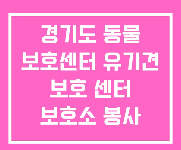 경기도 동물 보호센터 유기견 보호 센터 보호소 봉사 경기도 동물 보호센터 유기견 보호 센터 보호소 봉사