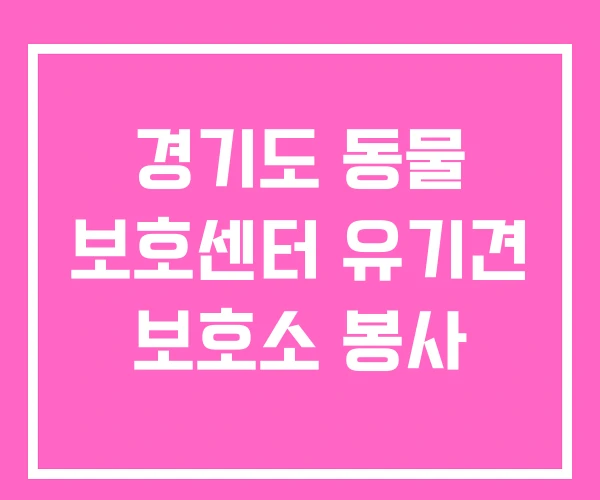 경기도 동물 보호센터 유기견 보호소 봉사