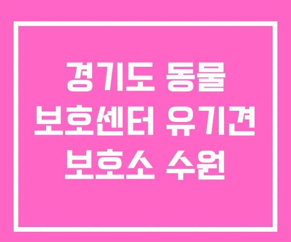 경기도 동물 보호센터 유기견 보호소 수원