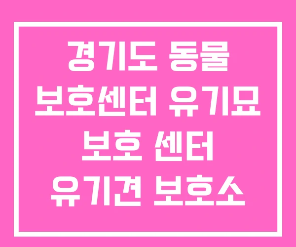 경기도 동물 보호센터 유기묘 보호 센터 유기견 보호소