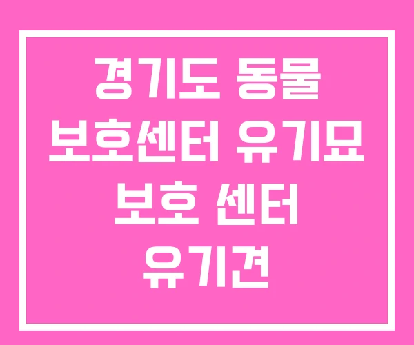경기도 동물 보호센터 유기묘 보호 센터 유기견