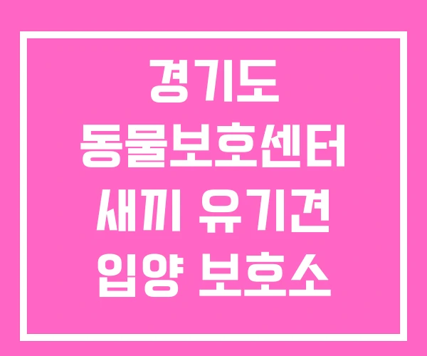 경기도 동물보호센터 새끼 유기견 입양 보호소