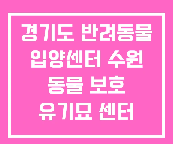경기도 반려동물 입양센터 수원 동물 보호 유기묘 센터 경기도 반려동물 입양센터 수원 동물 보호 유기묘 센터