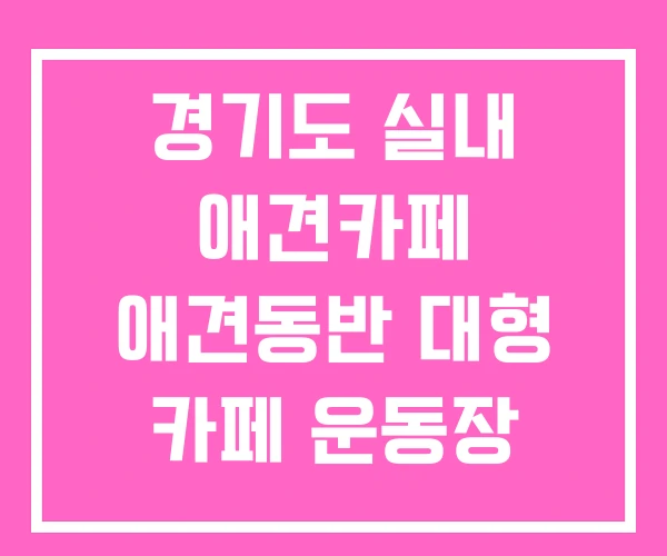 경기도 실내 애견카페 애견동반 대형 카페 운동장 경기도 실내 애견카페 애견동반 대형 카페 운동장