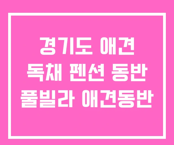 경기도 애견 독채 펜션 동반 풀빌라 애견동반 경기도 애견 독채 펜션 동반 풀빌라 애견동반